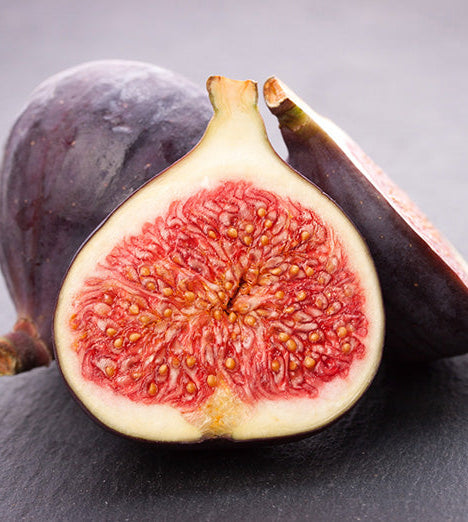 Bursa Silahi (rooted)