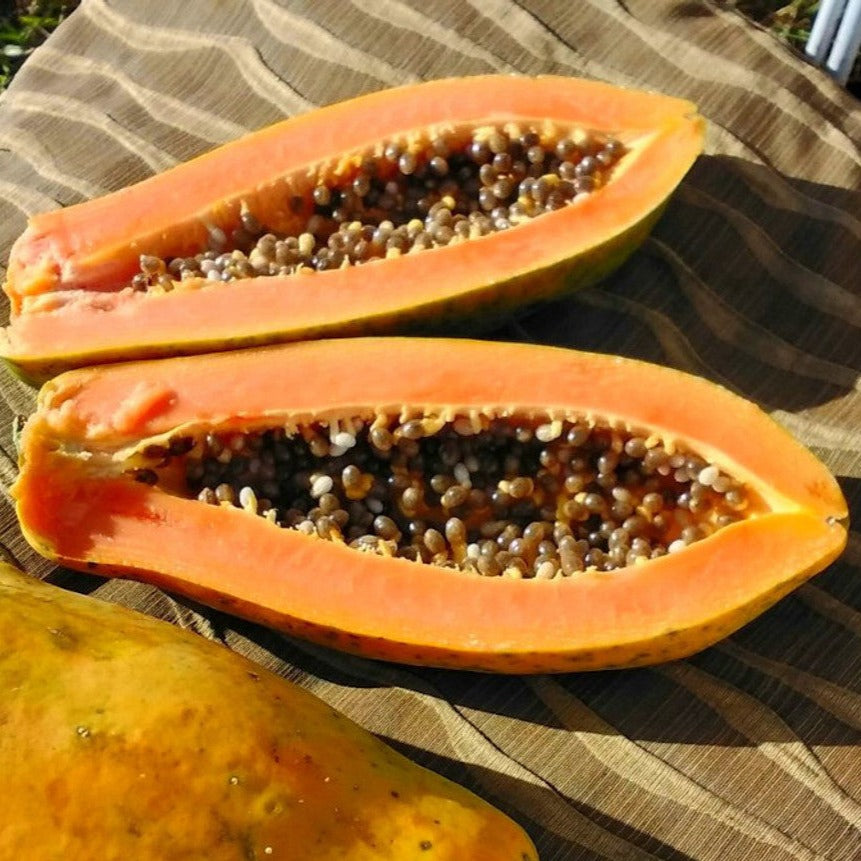 Brazilian Papaya