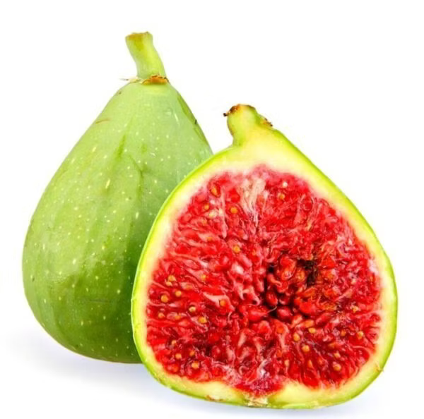 Cottonwood Candy (Cuttings)