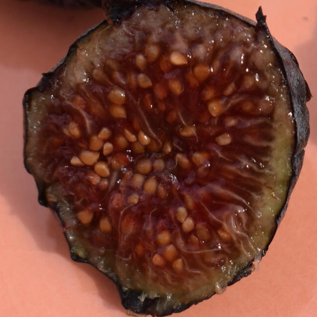 Edith Raspberry (Cuttings)