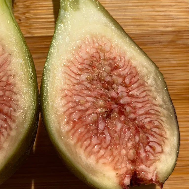 Emalyn's Purple (rooted)