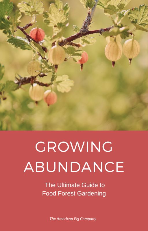 Growing Abundance: The Ultimate Guide to Food Forest Gardening (E-Book)