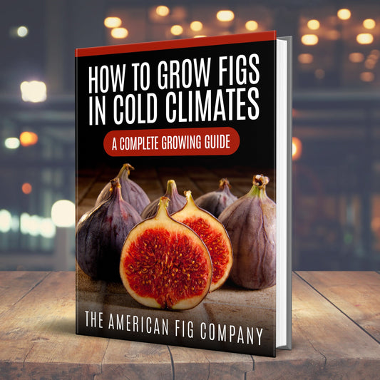 How To Grow Figs In Cold Climates (E-Book)