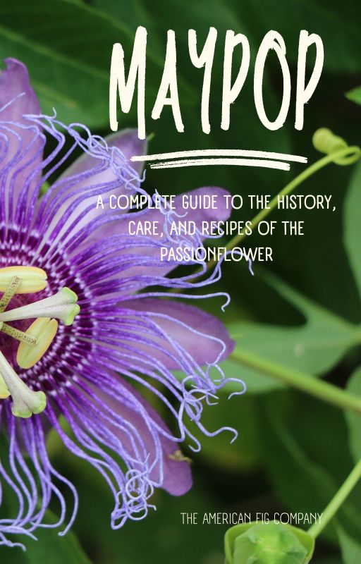 Maypop: A Complete Guide to the History, Care, and Recipes of the Passionflower (E-Book)