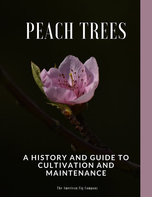 Peach Trees: A History and Guide to Cultivation and Maintenance (E-Book)