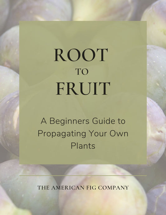 Root to Fruit: A Beginners Guide to Propagating Your Own Plants (E-Book)