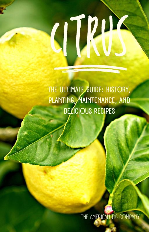 The Ultimate Guide to Citrus: History, Planting, Maintenance, and Delicious Recipes (E-Book)