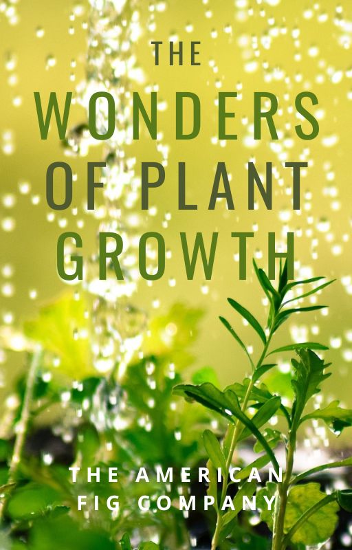 The Wonders of Plant Growth (E-Book)