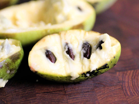 Why Pawpaw Trees Are the Best Native Fruit You Can Grow