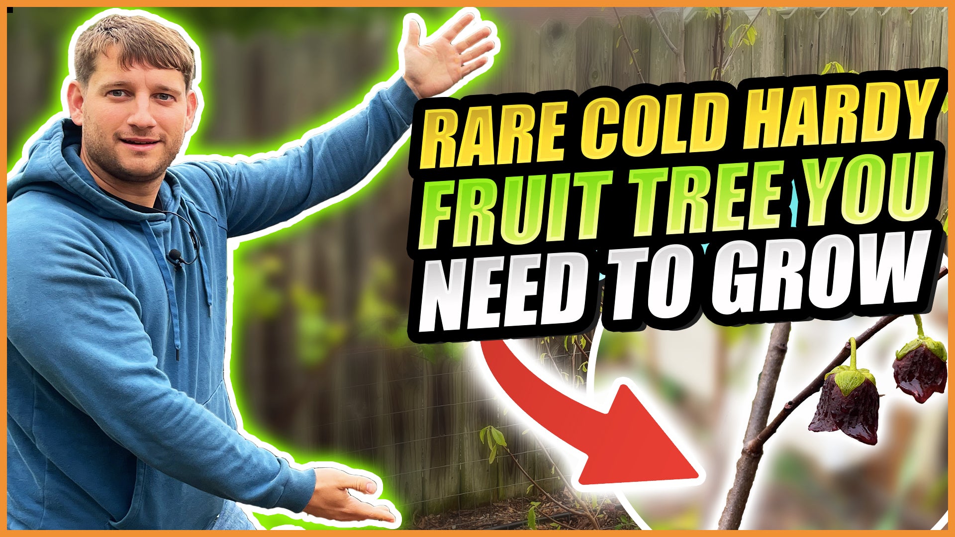 Unlock The Secrets To This Rare Cold Hardy Fruit Tree!! Everything You ...