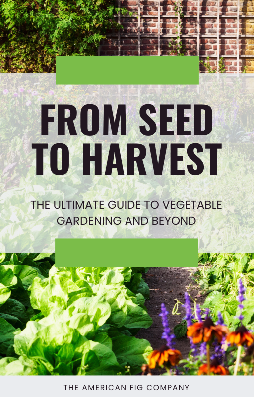 From Seed To Harvest: The Ultimate Guide To Vegetable Gardening And Beyond (E-Book)