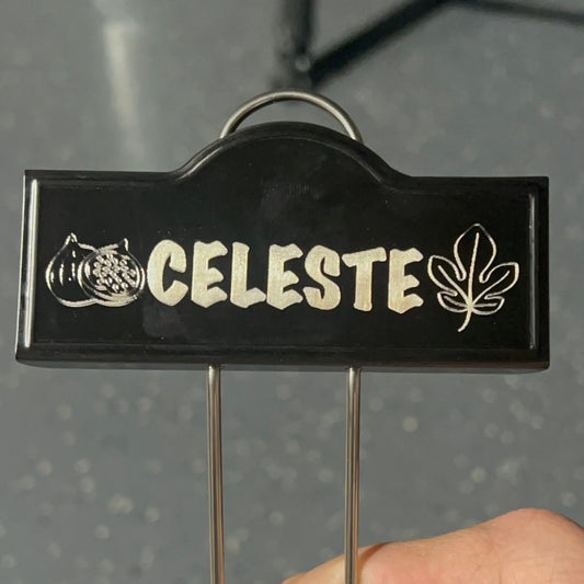 Laser-Engraved Plant Labels