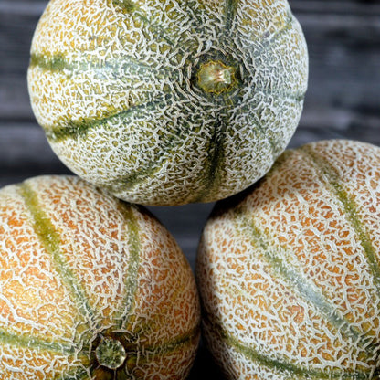 Hales Best Melon Seeds (Organic)