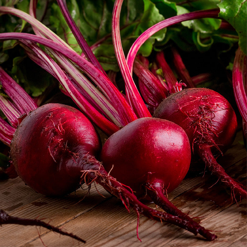 Boro Beet Seeds