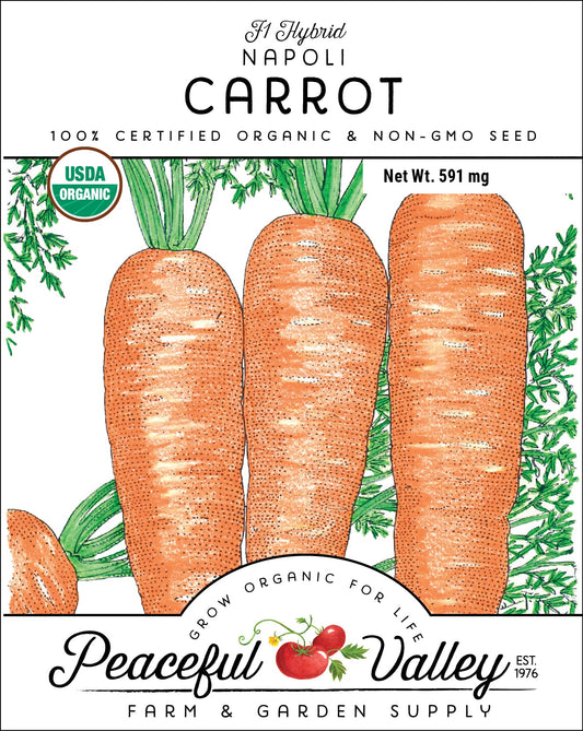 Napoli Carrot Seeds (Organic)