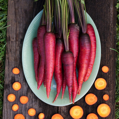 Dragon Carrot Seeds (Organic)