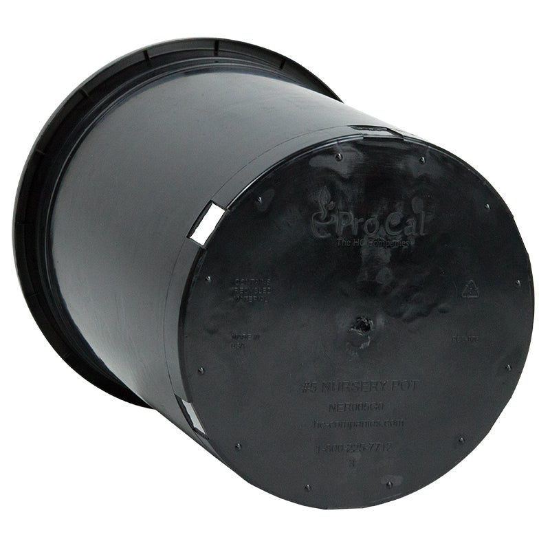 Black Plastic Pot (5 gallon size)