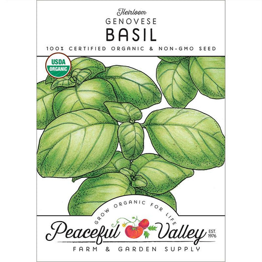 Genovese Basil Seeds (Organic)