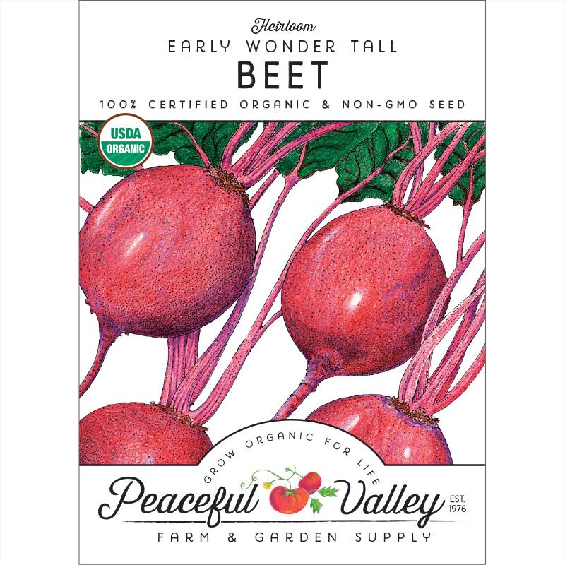 Early Wonder Tall Beet Seeds (Organic)