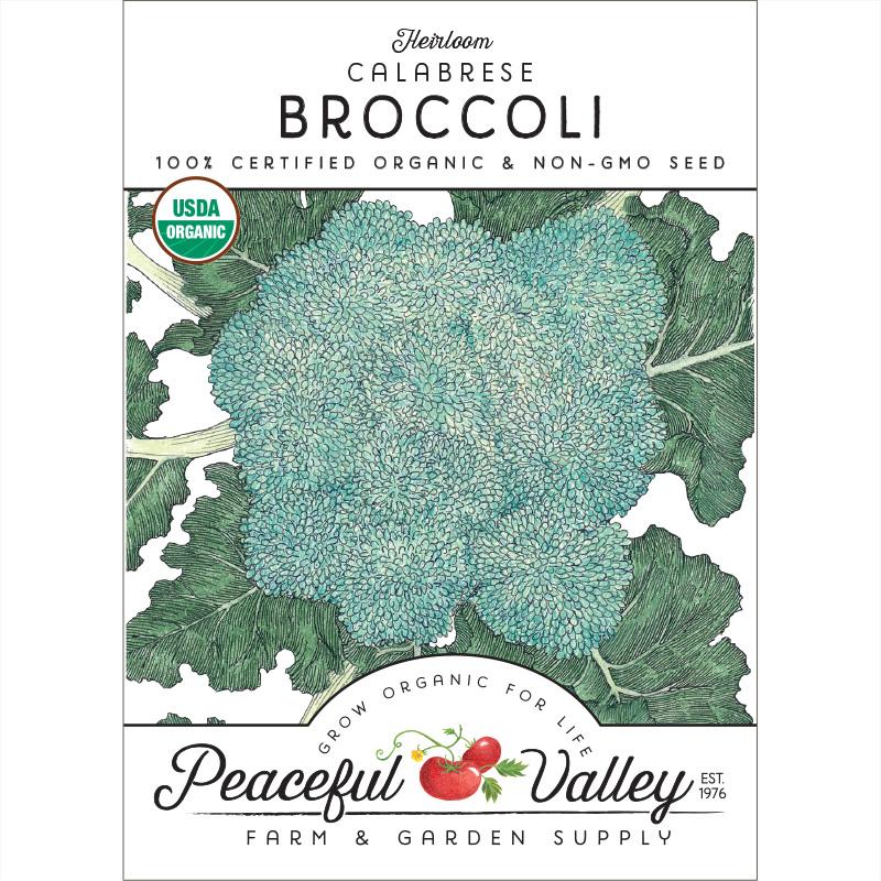 Calabrese Broccoli Seeds (Organic)