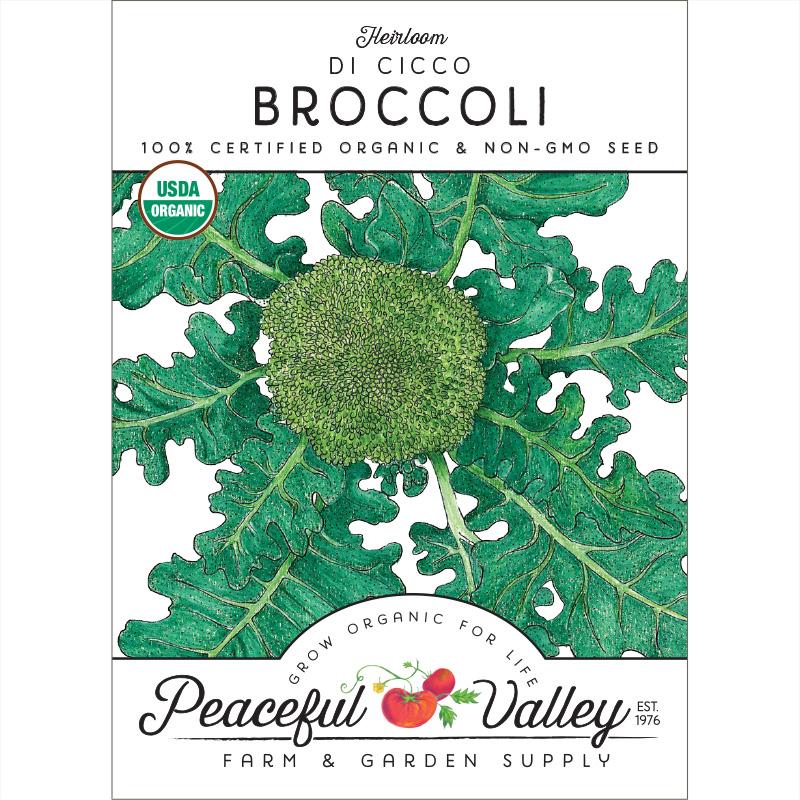 Di Cicco Broccoli Seeds (Organic)