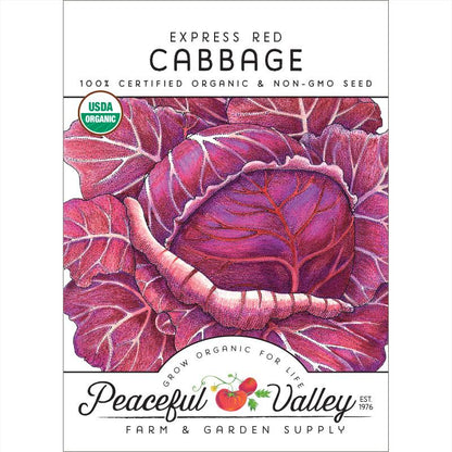 Express Red Cabbage Seeds (Organic)