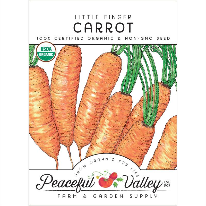 Little Finger Carrot Seeds (Organic)