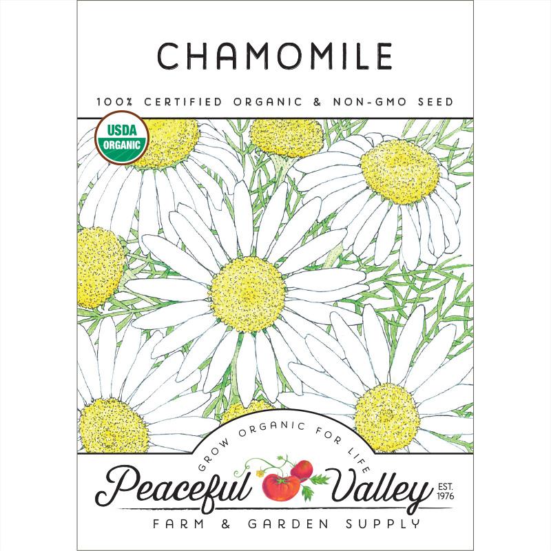 Chamomile Seeds (Organic)