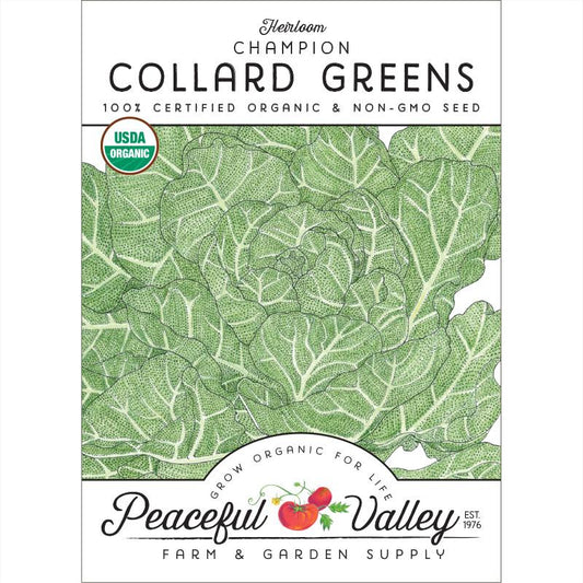 Champion Collard Green Seeds (Organic)