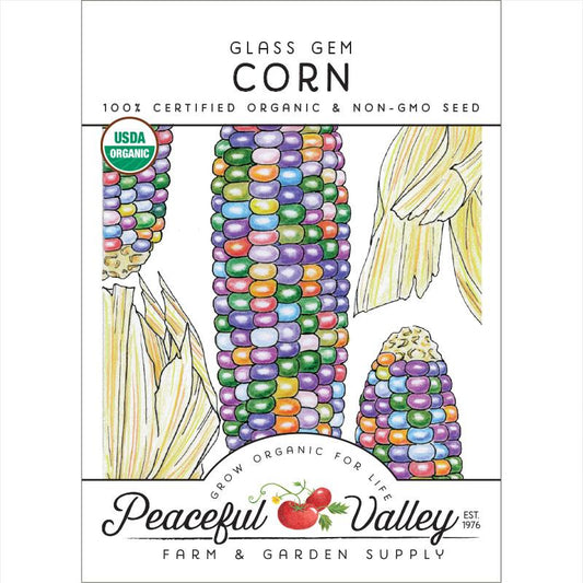 Glass Gem Corn Seeds (Organic)