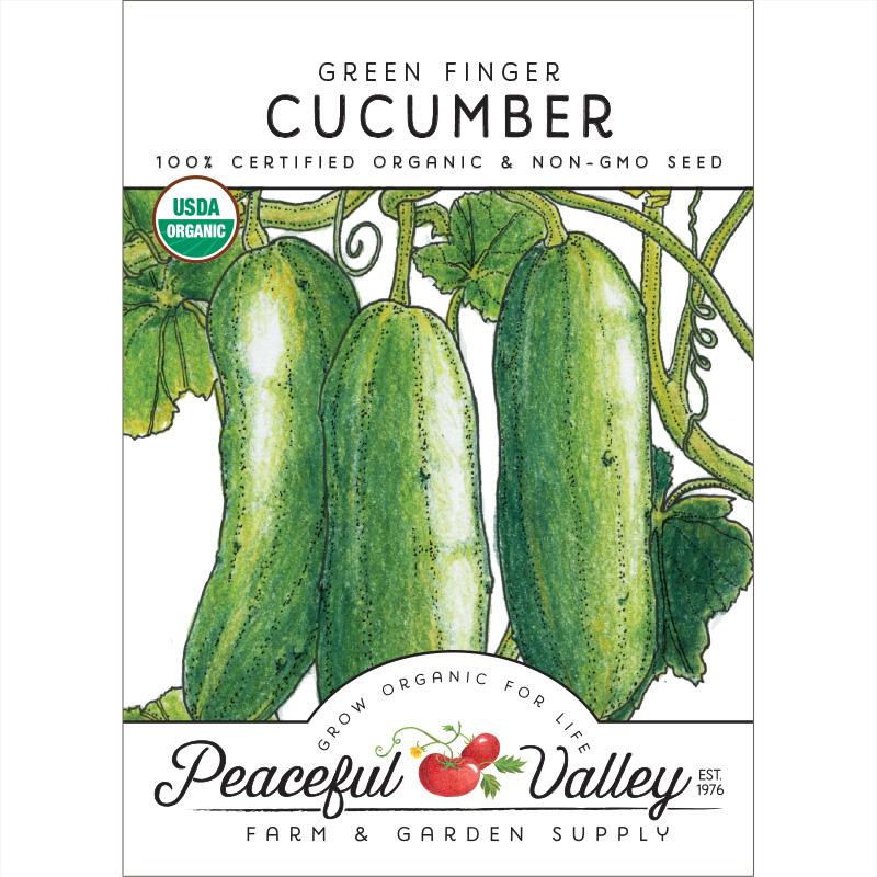 Green Finger Cucumber Seeds (Organic)