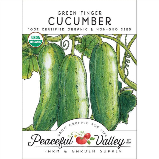 Green Finger Cucumber Seeds (Organic)