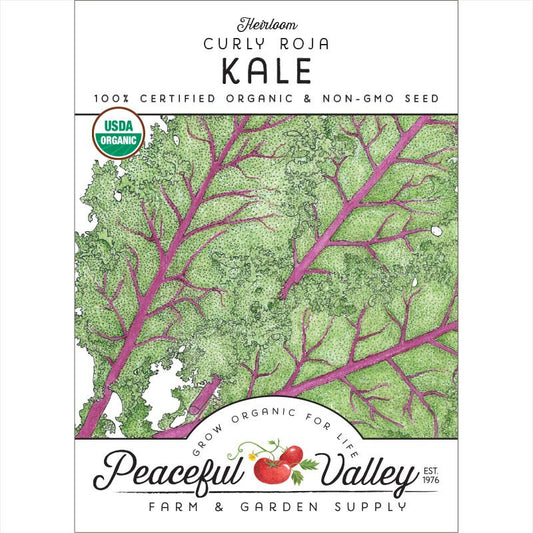 Curly Roja Kale Seeds (Organic)