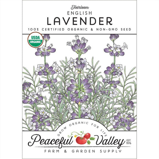 English-Vera Lavender Seeds (Organic)