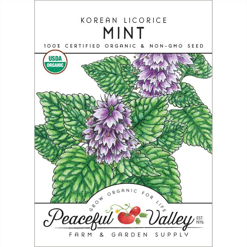 Korean Licorice Mint Seeds (Organic)