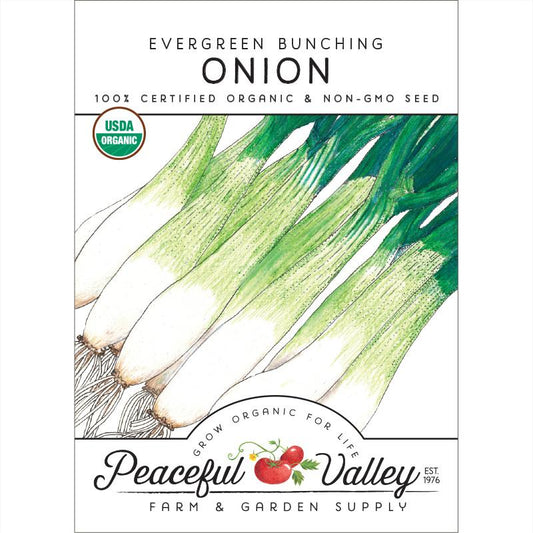 Evergreen Bunching Onion Seeds (Organic)