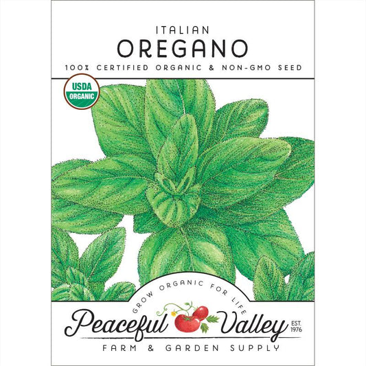 Italian Oregano Seeds (Organic)