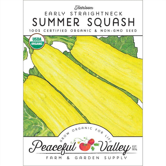 Early Straightneck Summer Squash Seeds (Organic)