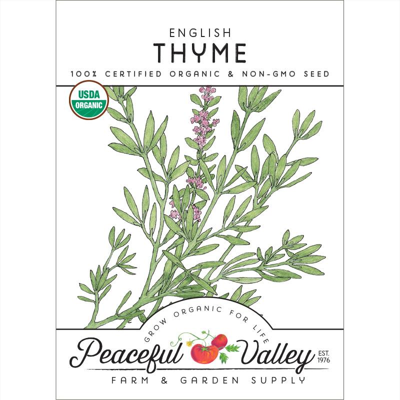 English Thyme Seeds (Organic)