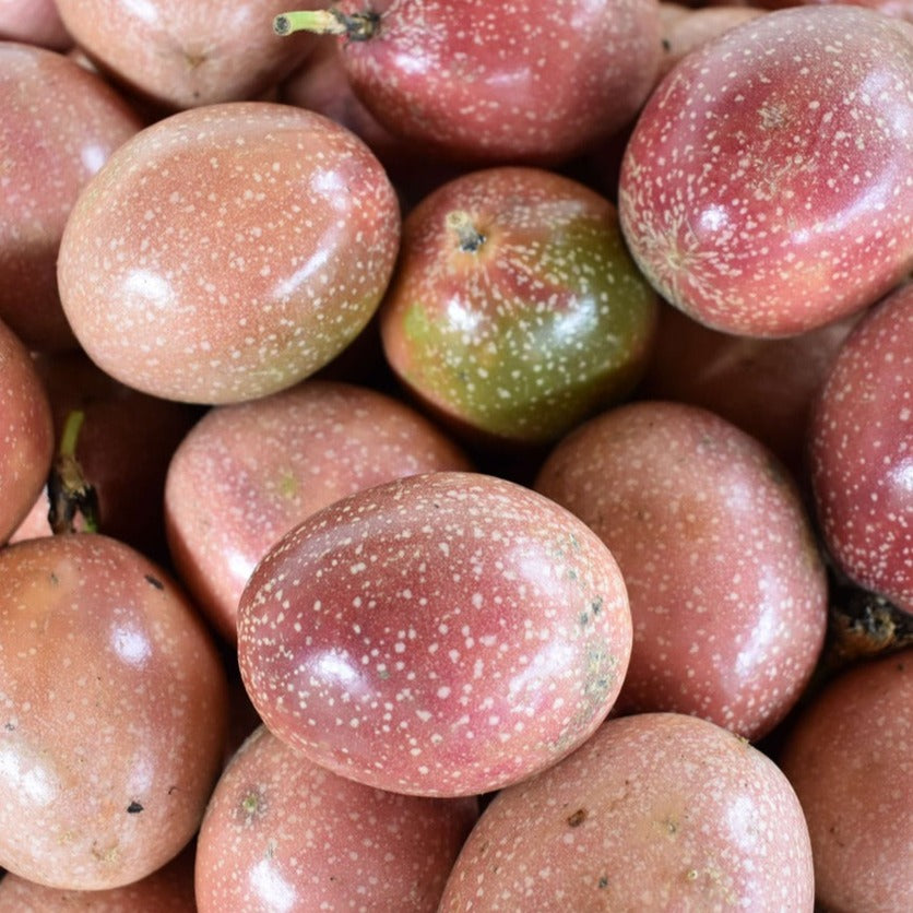 Red Passionfruit The American Fig Company