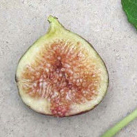 Royal (Cuttings)