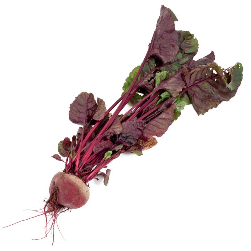 Bull's Blood Beet Seeds (Organic)