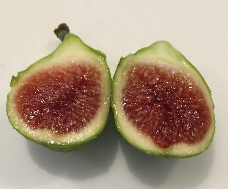 Three Sisters (Cuttings)
