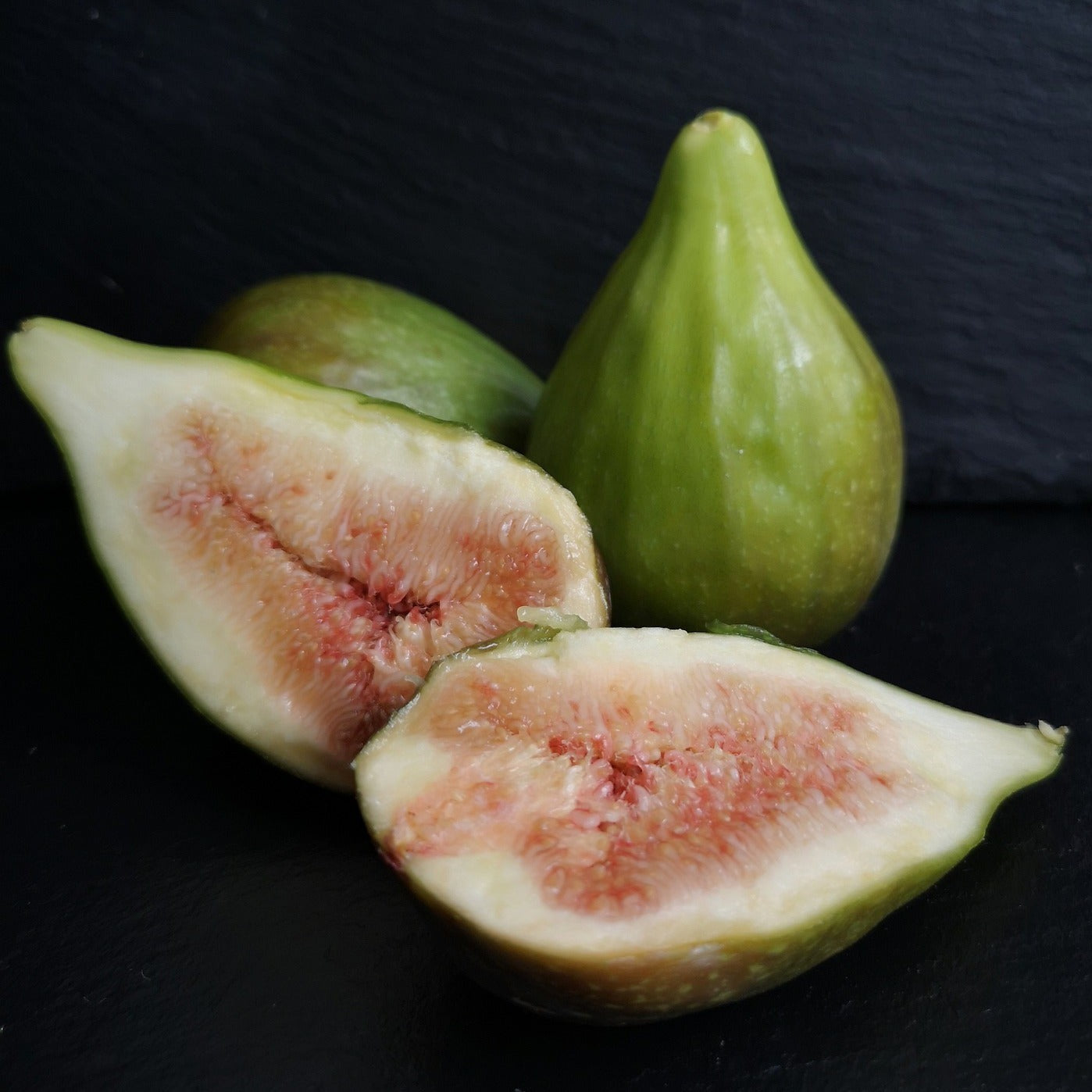 Rooted Figs – The American Fig Company