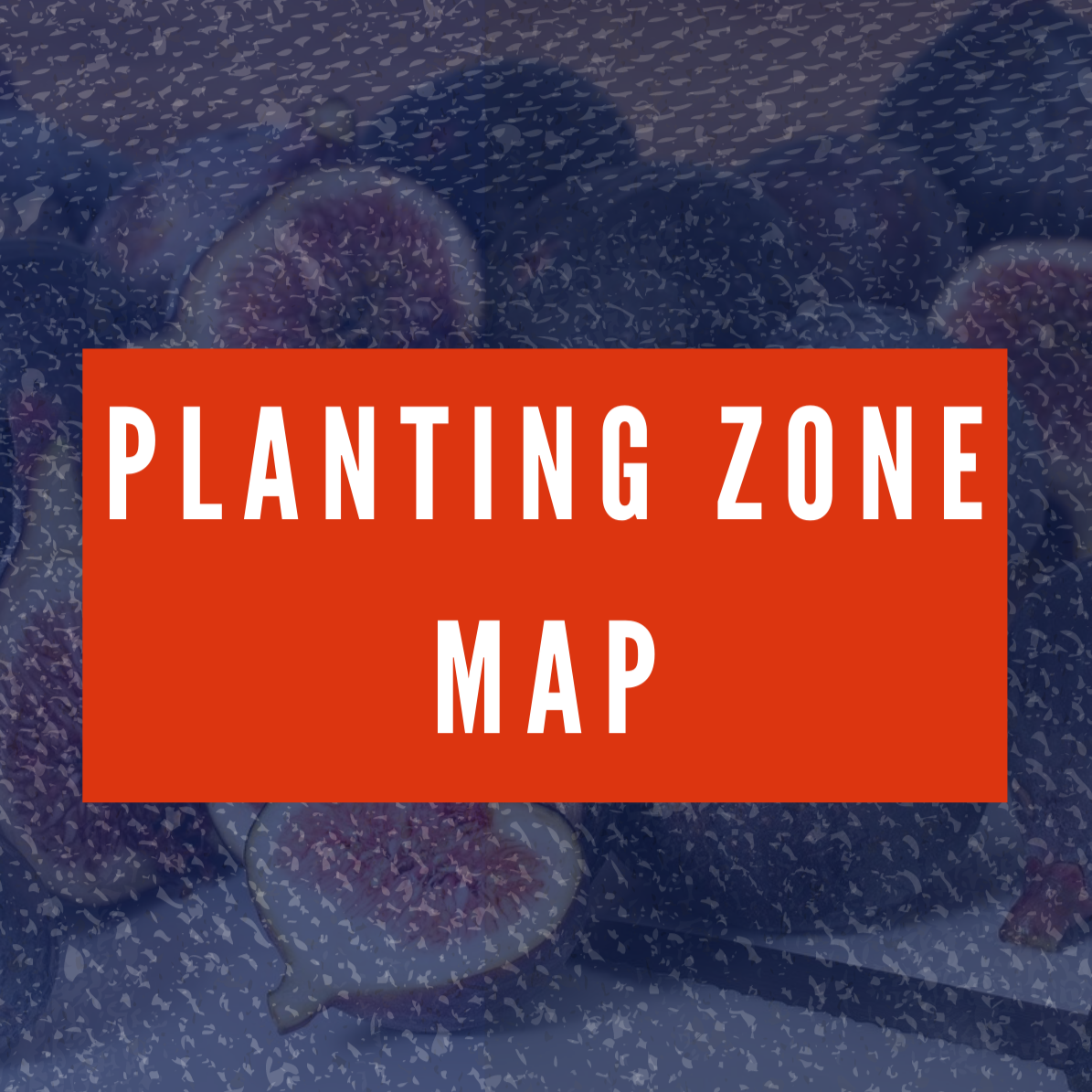 USDA Hardiness Zone Map