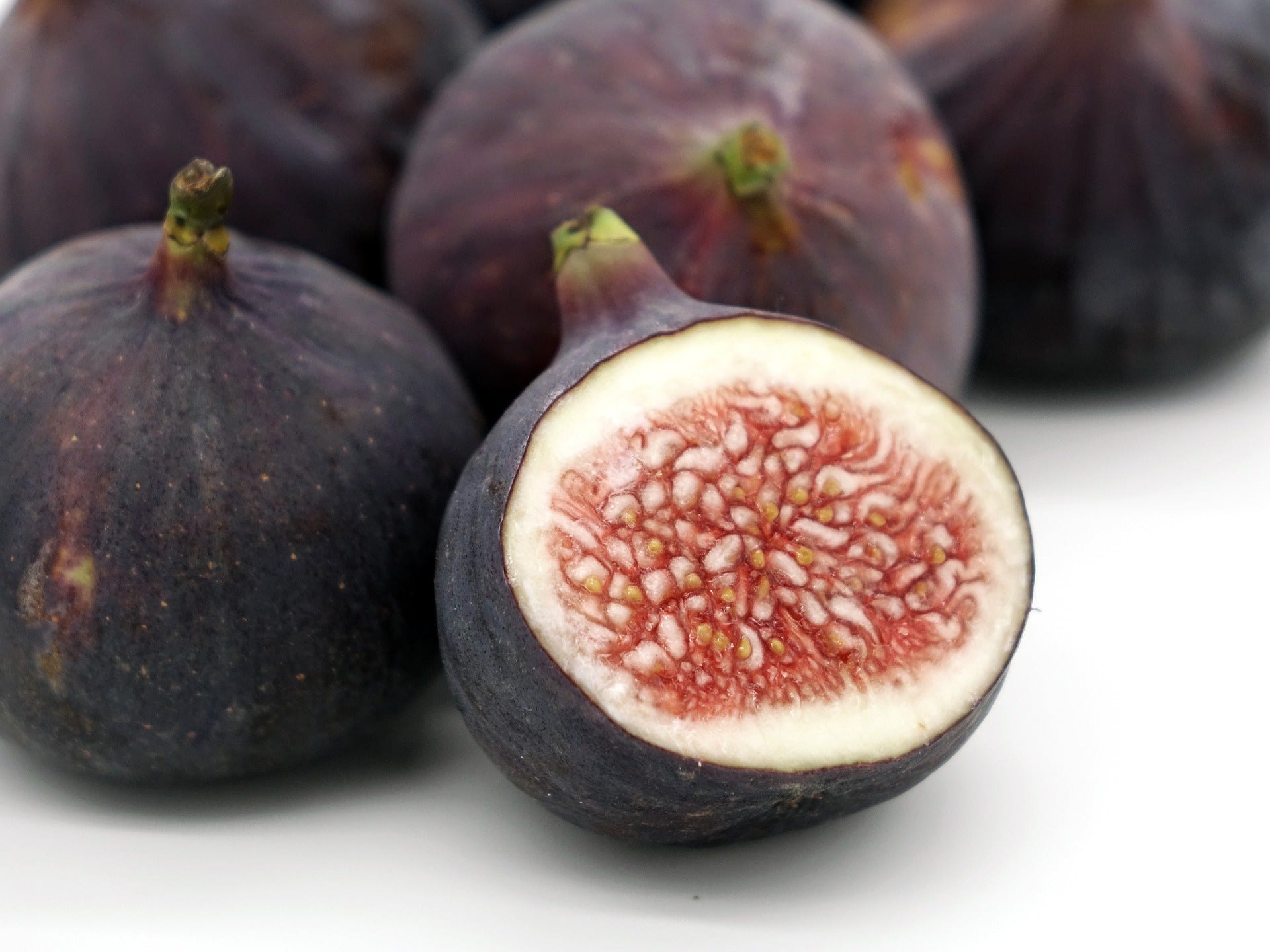 NWA Unknown (Cuttings) – The American Fig Company