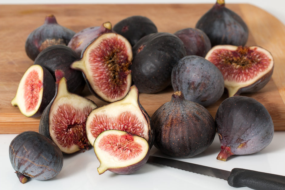 Rooted Figs – The American Fig Company