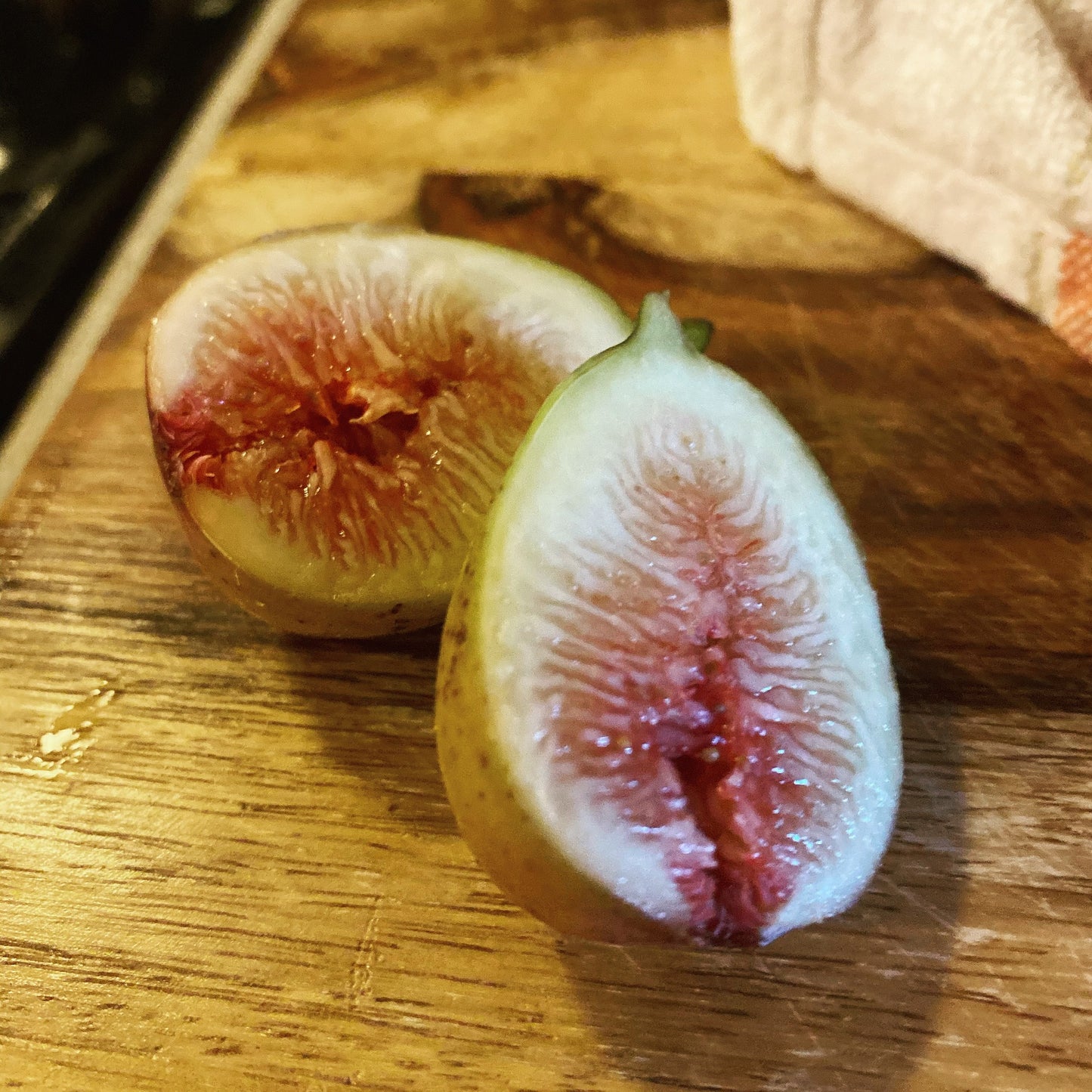 Brown Turkey (Cuttings) The American Fig Company