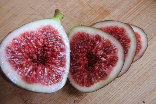 Red Italian (rooted) - The American Fig Company